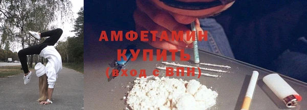 сатива Арсеньев