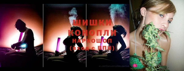 сатива Арсеньев