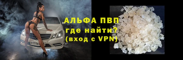 сатива Арсеньев
