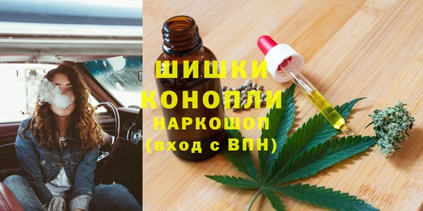 прущие грибы Армянск