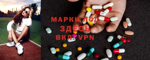 прущие грибы Армянск