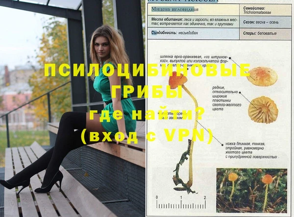 сатива Арсеньев