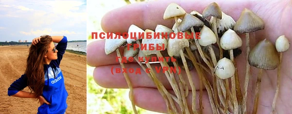 соль курить ск Аркадак