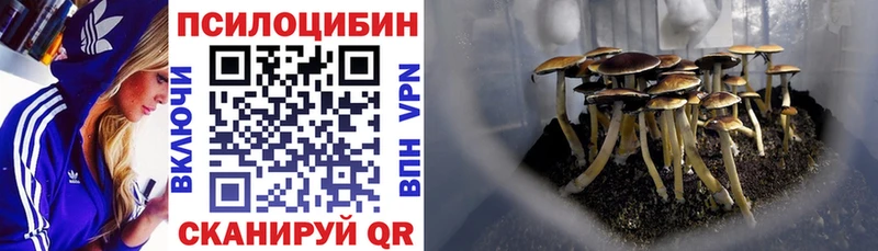 Галлюциногенные грибы ЛСД OMG маркетплейс Новая Ладога